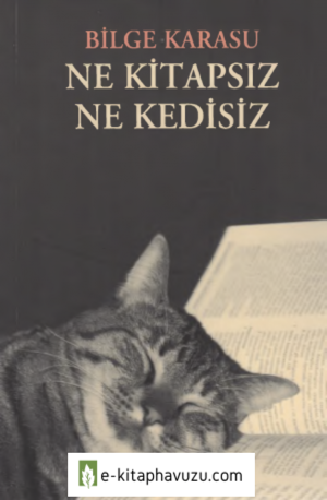 Bilge Karasu - Ne Kitapsız Ne Kedisiz - Metis Yayınları