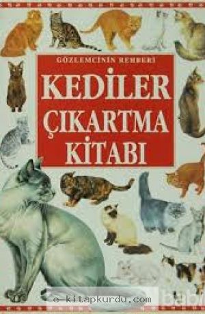 Sophy Tahta - Kediler Çıkartma Kitabı
