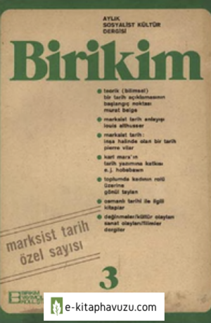 Birikim-3